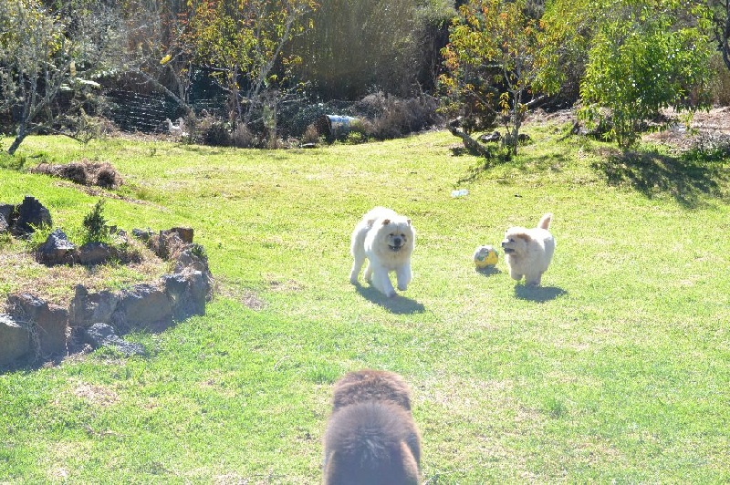 balade dans notre domaine