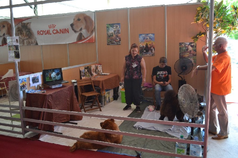premier salon d'expo des Samouraïs